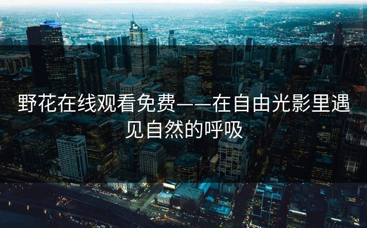 野花在线观看免费——在自由光影里遇见自然的呼吸