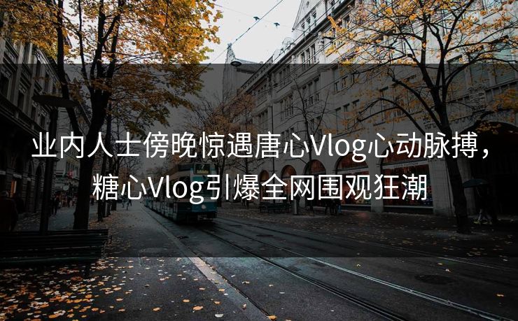 业内人士傍晚惊遇唐心Vlog心动脉搏，糖心Vlog引爆全网围观狂潮