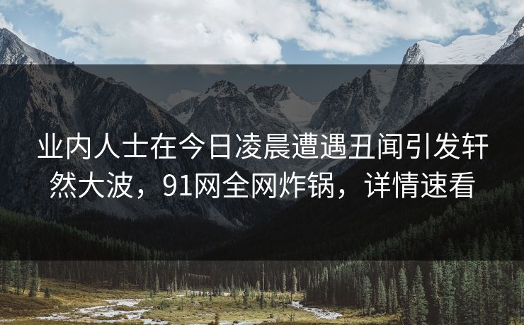 业内人士在今日凌晨遭遇丑闻引发轩然大波，91网全网炸锅，详情速看