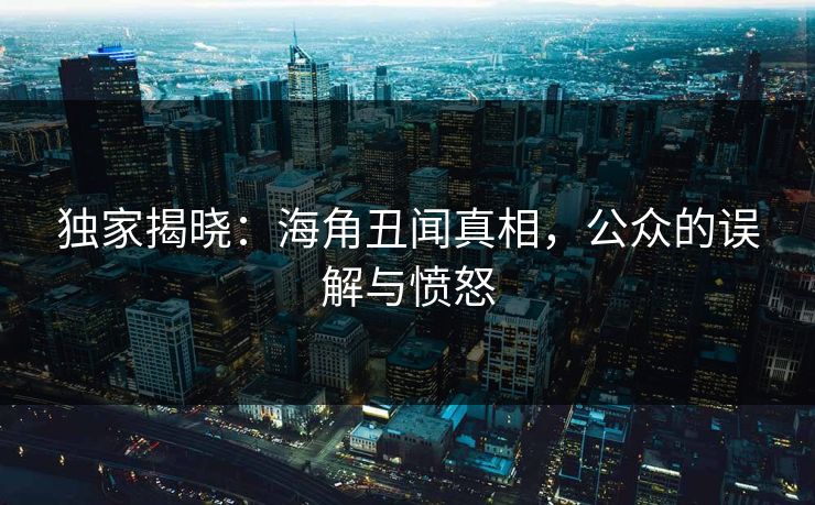 独家揭晓：海角丑闻真相，公众的误解与愤怒