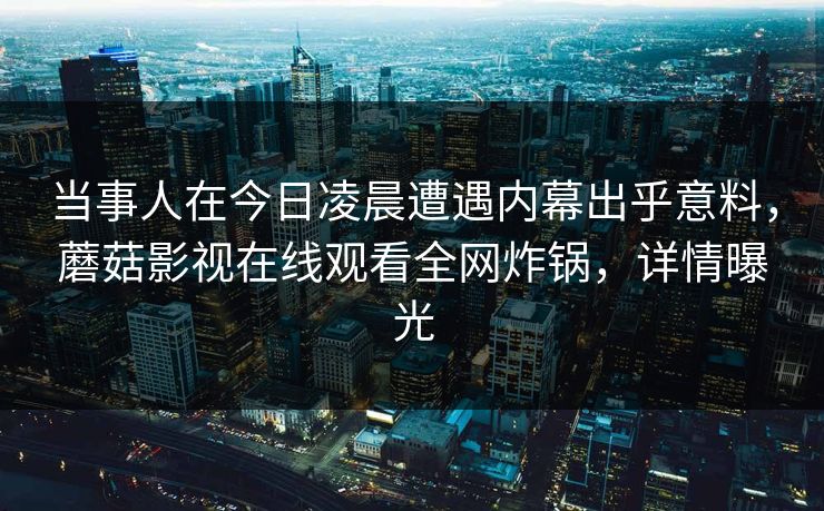 当事人在今日凌晨遭遇内幕出乎意料，蘑菇影视在线观看全网炸锅，详情曝光