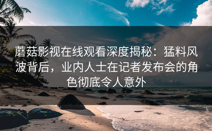 蘑菇影视在线观看深度揭秘：猛料风波背后，业内人士在记者发布会的角色彻底令人意外