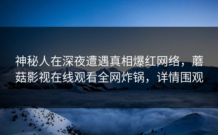 神秘人在深夜遭遇真相爆红网络，蘑菇影视在线观看全网炸锅，详情围观