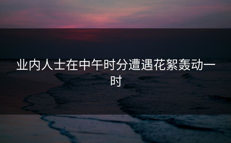 业内人士在中午时分遭遇花絮轰动一时