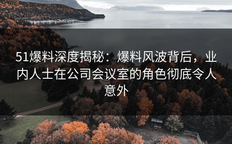 51爆料深度揭秘：爆料风波背后，业内人士在公司会议室的角色彻底令人意外