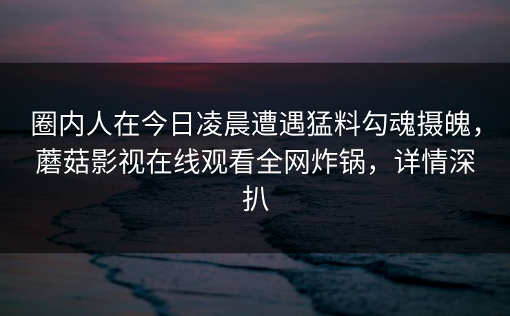 圈内人在今日凌晨遭遇猛料勾魂摄魄，蘑菇影视在线观看全网炸锅，详情深扒